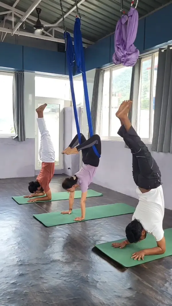 Aerial Yoga Inversion Practice with Hammocks in Shala
